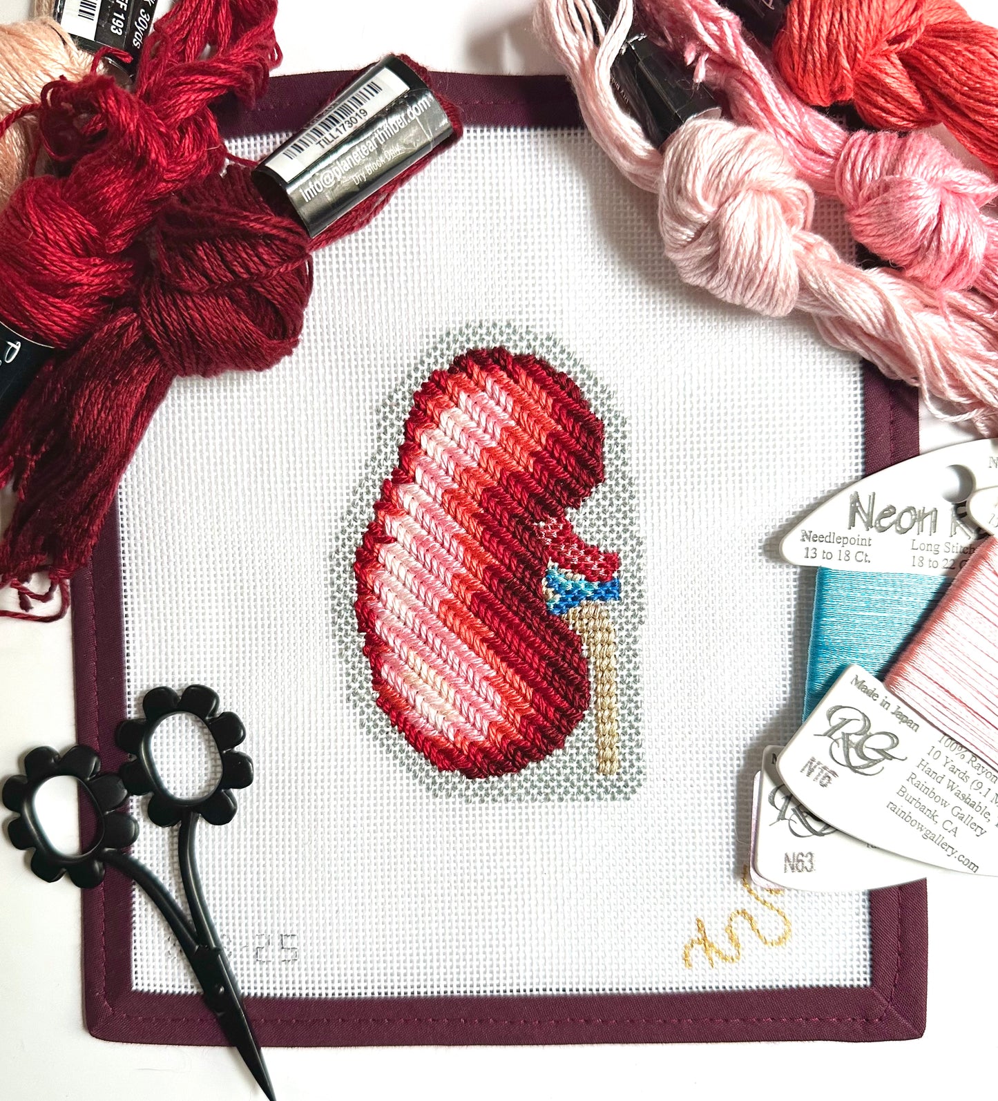 Anatomical Kidney Needlepoint Canvas