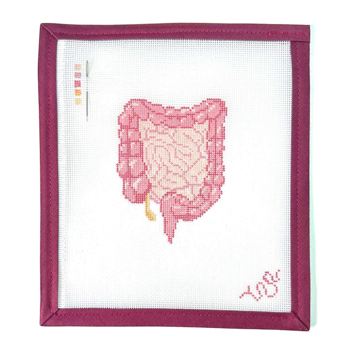 Anatomical Lower Digestive Tract Needlepoint Canvas