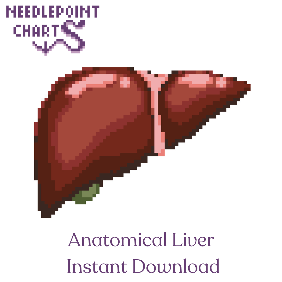 Anatomical Liver Chart for Needlepoint or Cross Stitch - Instant Download