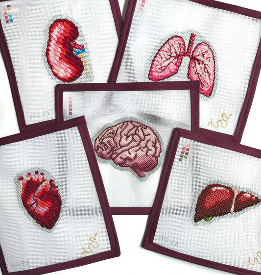 The Human Anatomy Collection  - Stitching Prayers for Health