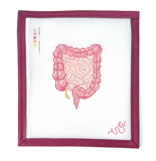 Anatomical Lower Digestive Tract Needlepoint Canvas 