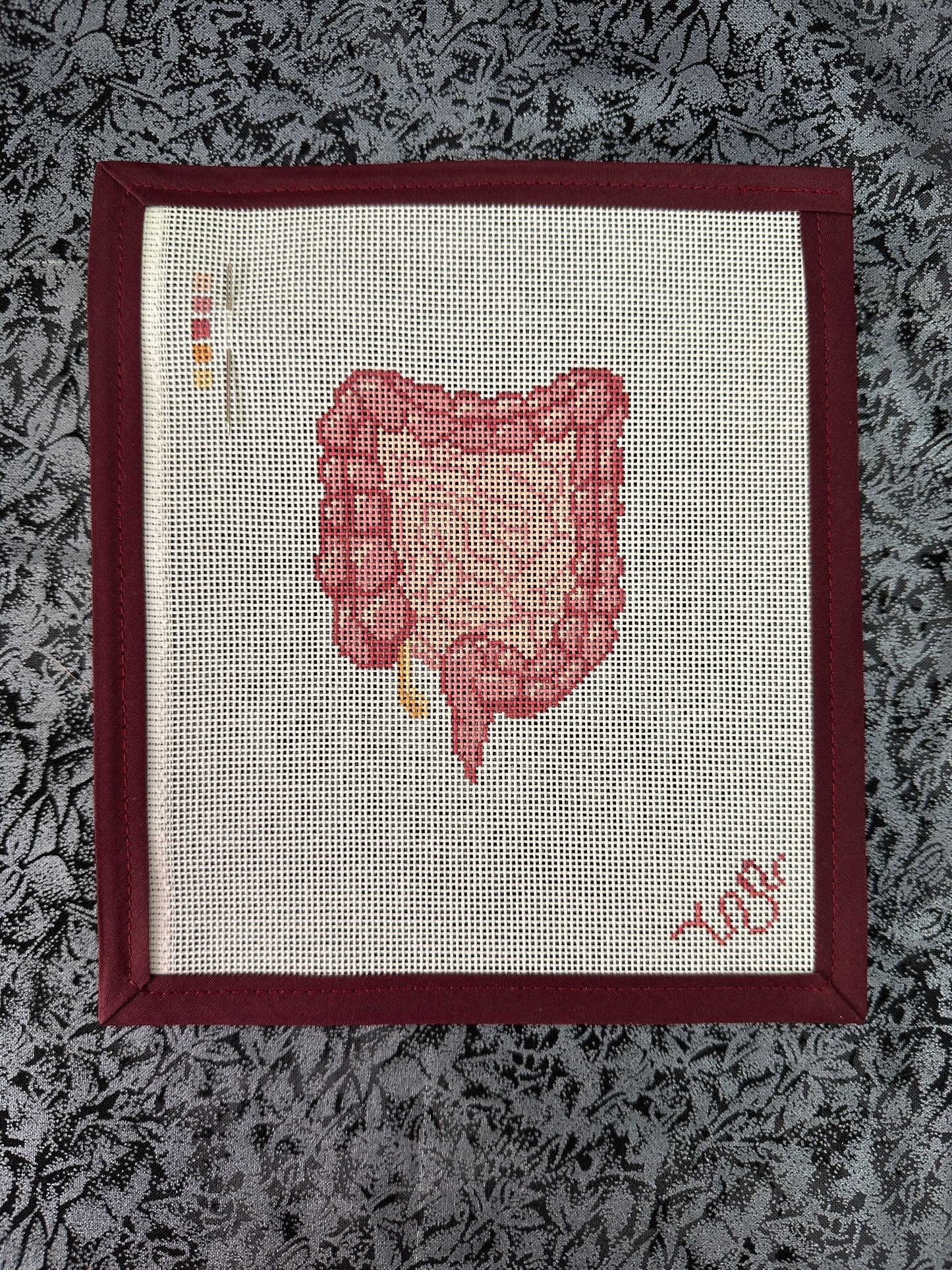 Anatomical Lower Digestive Tract Needlepoint Canvas