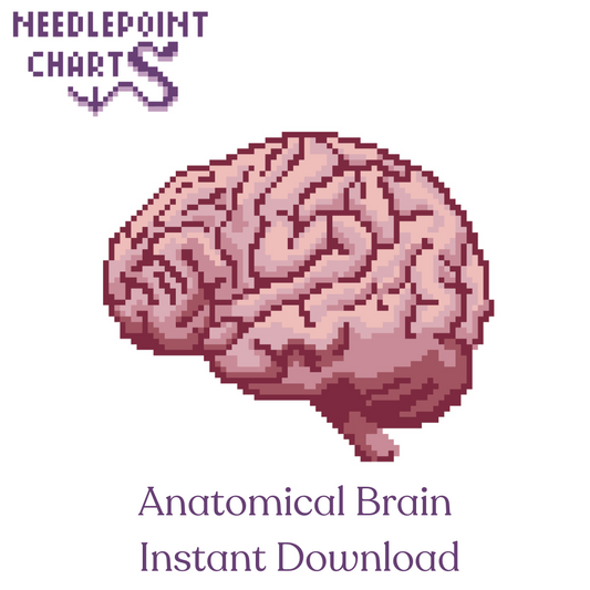 Anatomical Brain Chart for Needlepoint or Cross Stitch - Instant Download