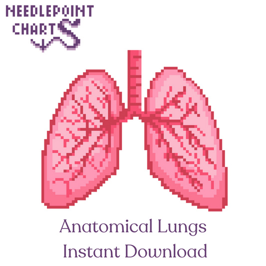 Anatomical Lungs Chart for Needlepoint or Cross Stitch - Instant Download