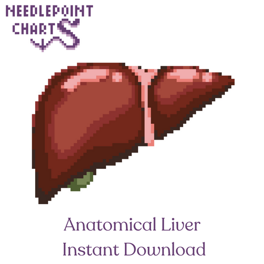 Anatomical Liver Chart for Needlepoint or Cross Stitch - Instant Download