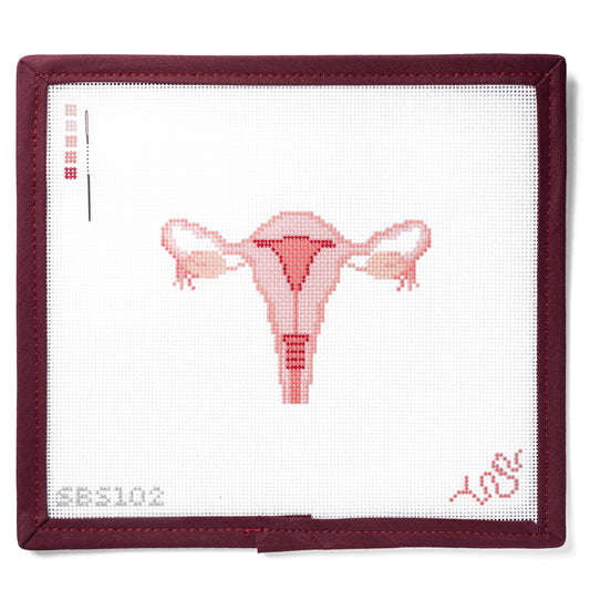 Uterus Cross Section Needlepoint Canvas