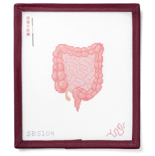 Anatomical Lower Digestive Tract Needlepoint Canvas
