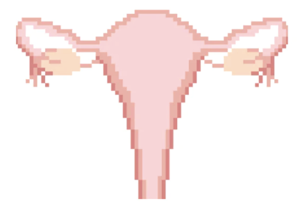 Uterus Needlepoint Canvas - enclosed view