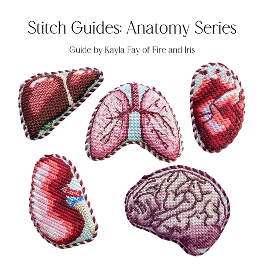 Anatomy Series Stitch Guides