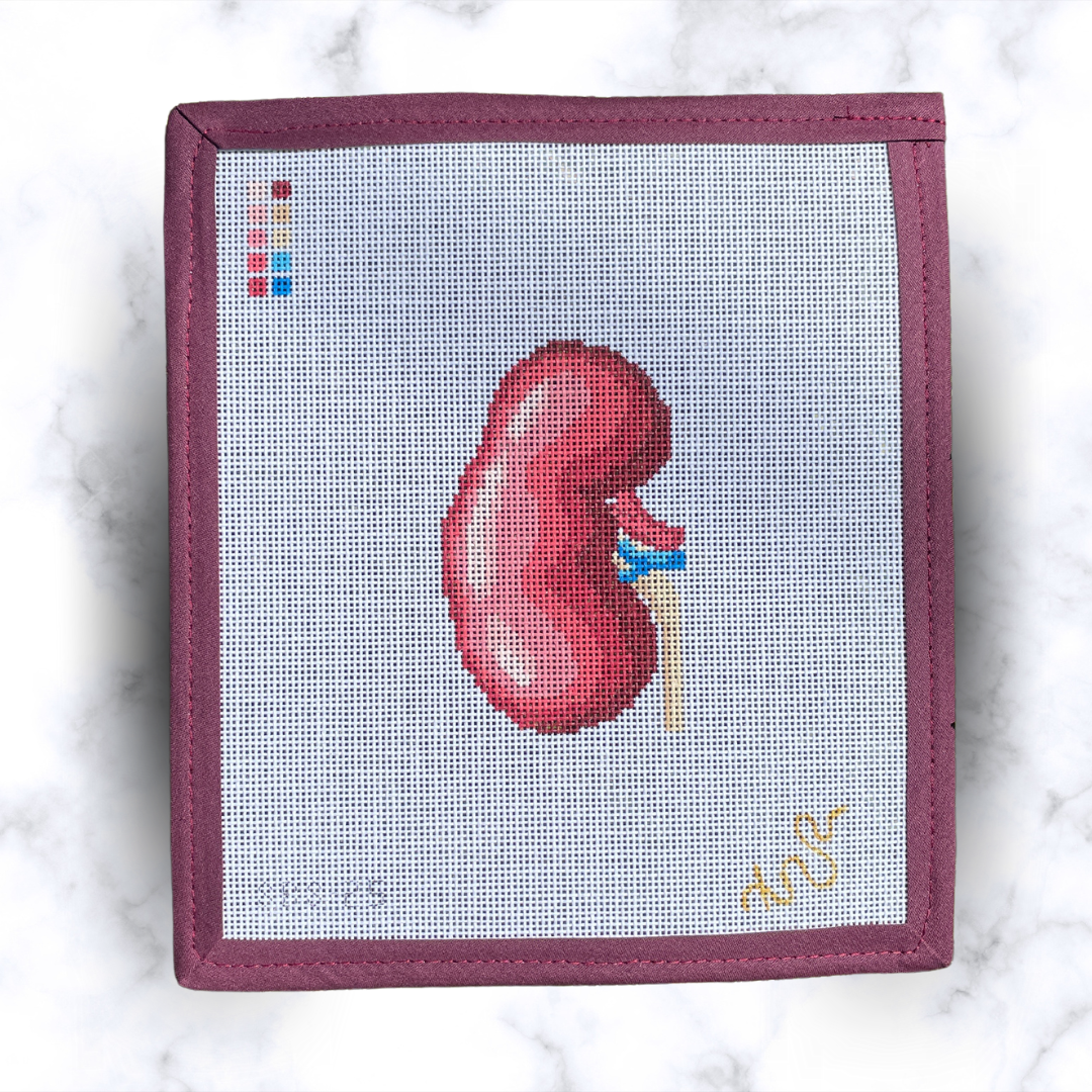 Anatomical Kidney Needlepoint Canvas, Kidney Needlepoint Canvas, Anatomy Needlepoint Canvas, Medical Needlepoint Canvas